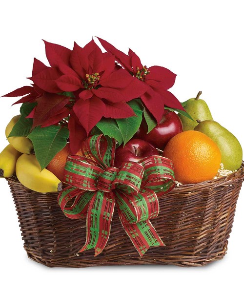 Festive Poinsettia Fruit Basket by Soderberg's Floral & Gift